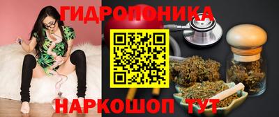 экстази Кингисепп