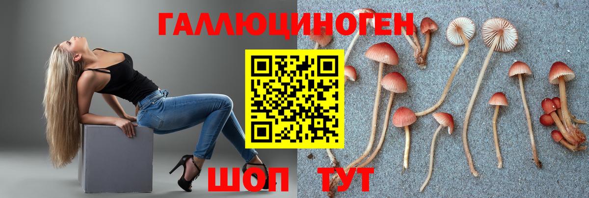 Псилоцибиновые грибы Psilocybine cubensis Красный Сулин