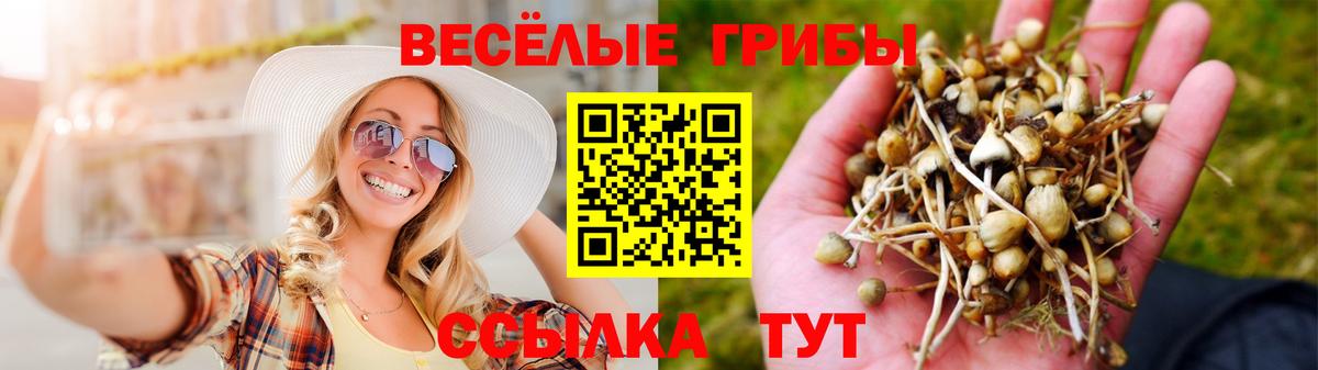 Псилоцибиновые грибы мухоморы  Вход с VPN  Псилоцибиновые грибы мицелий  Красный Сулин 